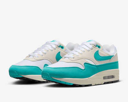 Men's Nike Air Max 1 Dusty Cactus Shoes