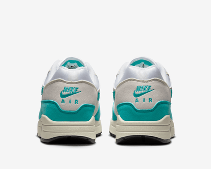 Men's Nike Air Max 1 Dusty Cactus Shoes
