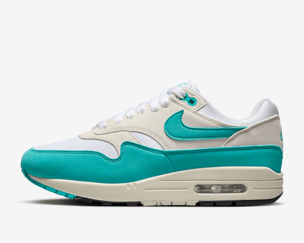Men's Nike Air Max 1 Dusty Cactus Shoes