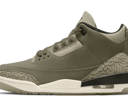 Men's Air Jordan 3 Family Affair Shoes
