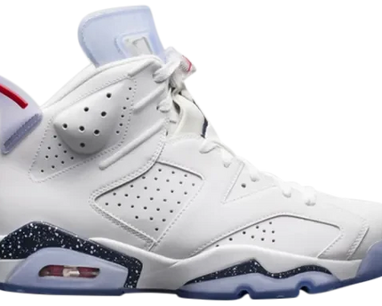 Men's Air Jordan 6 First Championship Shoes
