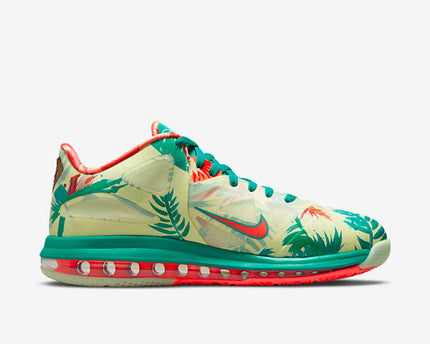 Men's Nike Lebron 9 LeBronold Palmer Shoes