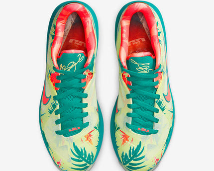 Men's Nike Lebron 9 LeBronold Palmer Shoes