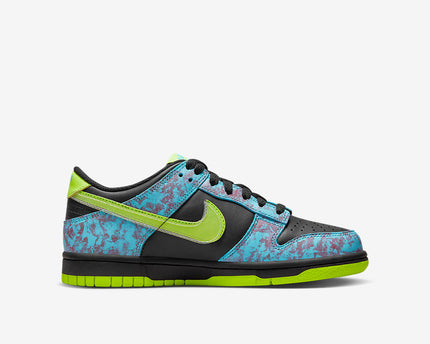 Men's Nike Dunk Low Acid Wash Shoes