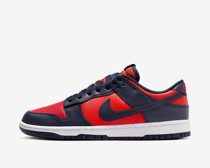 Men's Nike Dunk Low City Attack Shoes