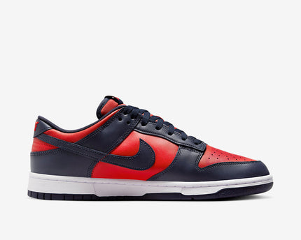 Men's Nike Dunk Low City Attack Shoes