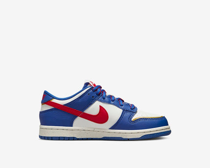 Men's Nike Dunk Low 'Superhero' Shoes