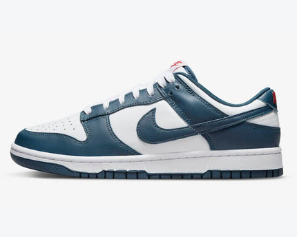 Men's Nike Dunk Low 'Valerian Blue' Shoes