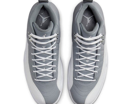Men's Air Jordan 12 Stealth Shoes