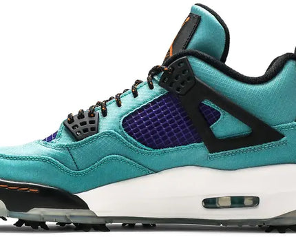 Men's Air Jordan 4 'Torrey Pines' Shoes