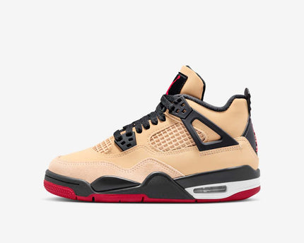 Men's  Air Jordan 4 'Pizza' Shoes