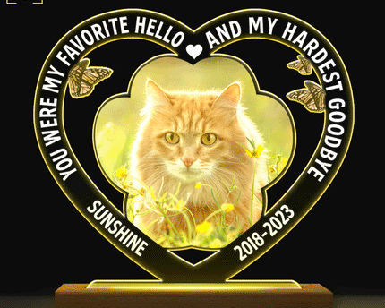 Custom Photo Dog Cat My Favorite Hello & Hardest Goodbye - Personalized 3D Led Light Wooden Base