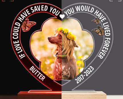 Custom Photo Dog Cat My Favorite Hello & Hardest Goodbye - Personalized 3D Led Light Wooden Base