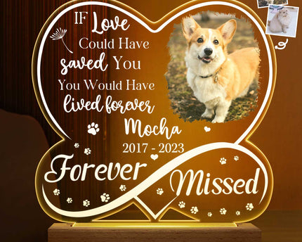 Custom Photo Dog Cat Infinity Heart Forever Missed - Personalized 3D Led Light Wooden Base