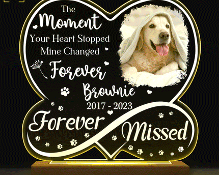 Custom Photo Dog Cat Infinity Heart Forever Missed - Personalized 3D Led Light Wooden Base