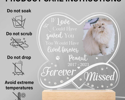 Custom Photo Dog Cat Infinity Heart Forever Missed - Personalized 3D Led Light Wooden Base