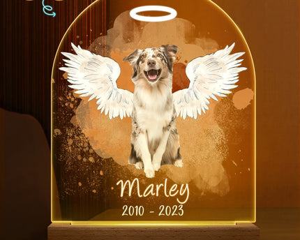 Custom Photo Dog Cat Pet - Memorial Gift, Sympathy Gift - Personalized 3D Led Light Wooden Base