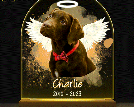 Custom Photo Dog Cat Pet - Memorial Gift, Sympathy Gift - Personalized 3D Led Light Wooden Base