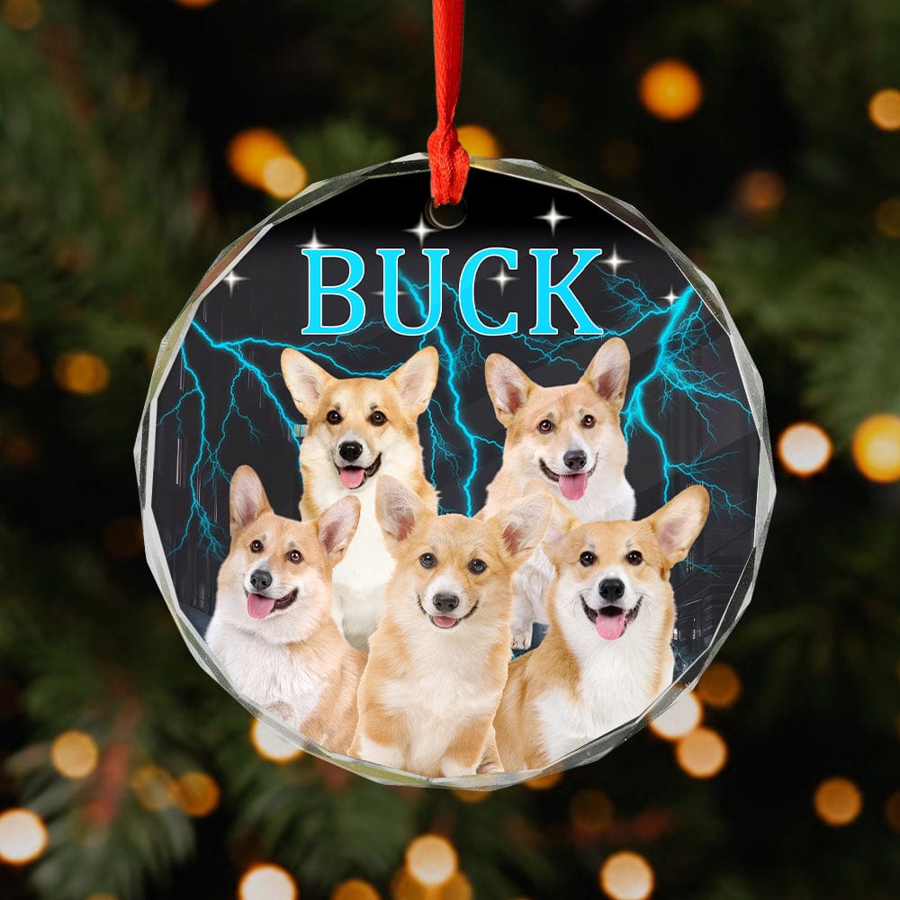 Custom Portrait Photo With Retro Style Glass Ornament For Dog Lovers