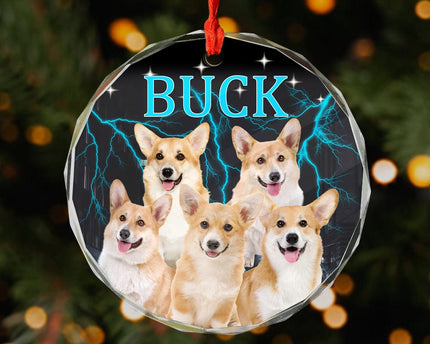 Custom Portrait Photo With Retro Style Glass Ornament For Dog Lovers