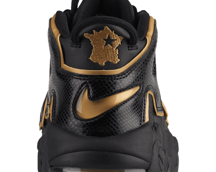 Men's Air More Uptempo France Shoes