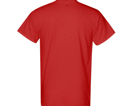FIFA World Cup 2026 Argentina Year Established Graphic Unisex T-Shirt - Red