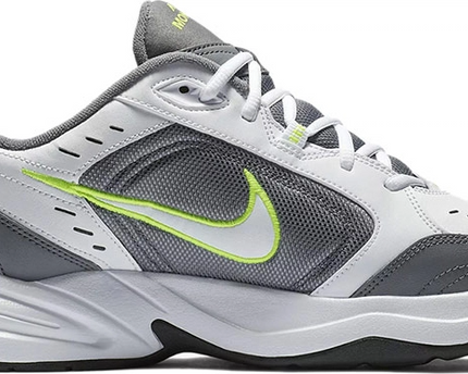 Men's Air Monarch 4 Cool Grey Shoes