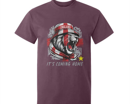Roaring Lions England Football Pride T-Shirt