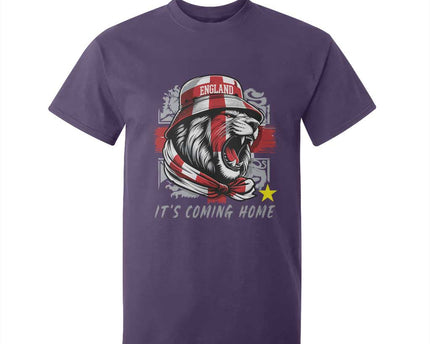 Roaring Lions England Football Pride T-Shirt