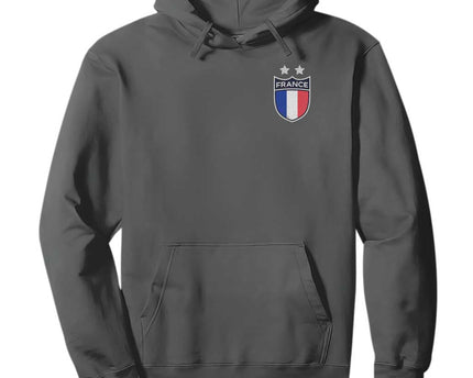 Vintage France Football Crest Two Stars French Flag Hoodie
