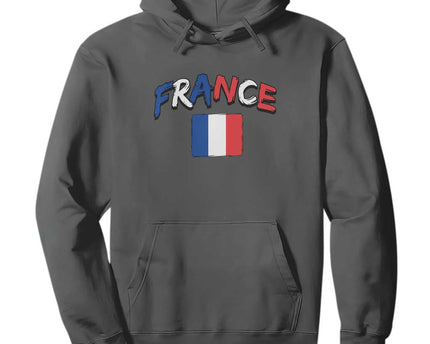 Vintage France Flag French Heritage Graphic Hoodie