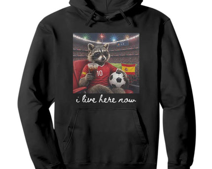 Espana Spain Soccer Football Fan Spanish Flag Hoodie