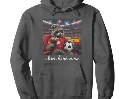 Espana Spain Soccer Football Fan Spanish Flag Hoodie
