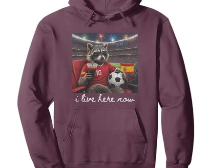 Espana Spain Soccer Football Fan Spanish Flag Hoodie